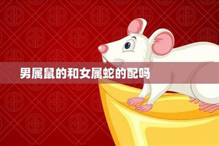小年南方和北方有什么区别