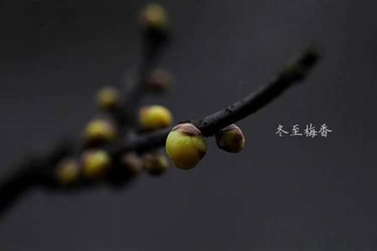 冬至的由来、习俗
