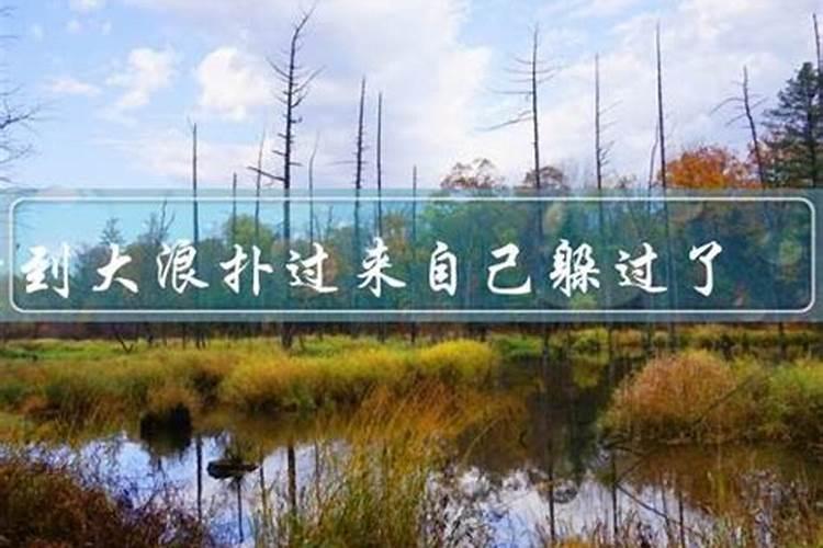 1987年属兔的感情婚姻,属兔一辈子婚姻状况