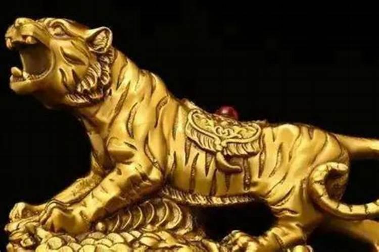本命年虎年要注意什么