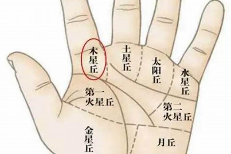 2025最旺的生肖 属兔的人 运势