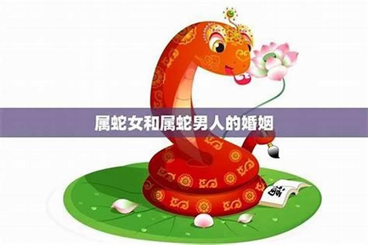 男鼠女蛇能不能一起