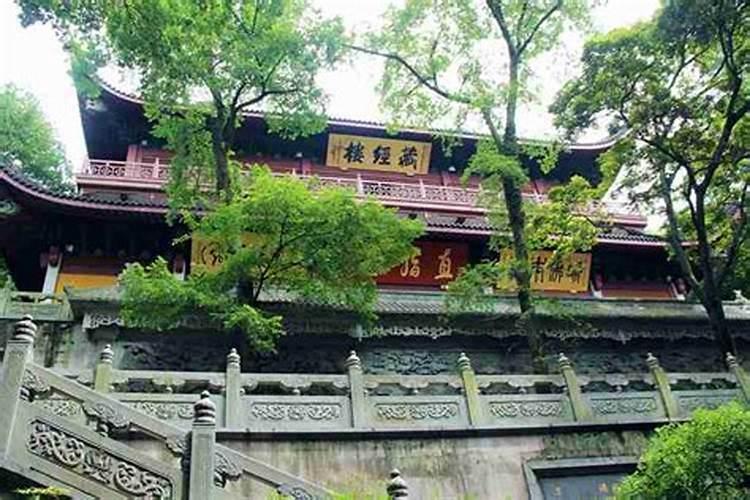 梦见地里长大冬瓜的预兆