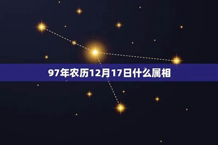 1997年属什么生肖