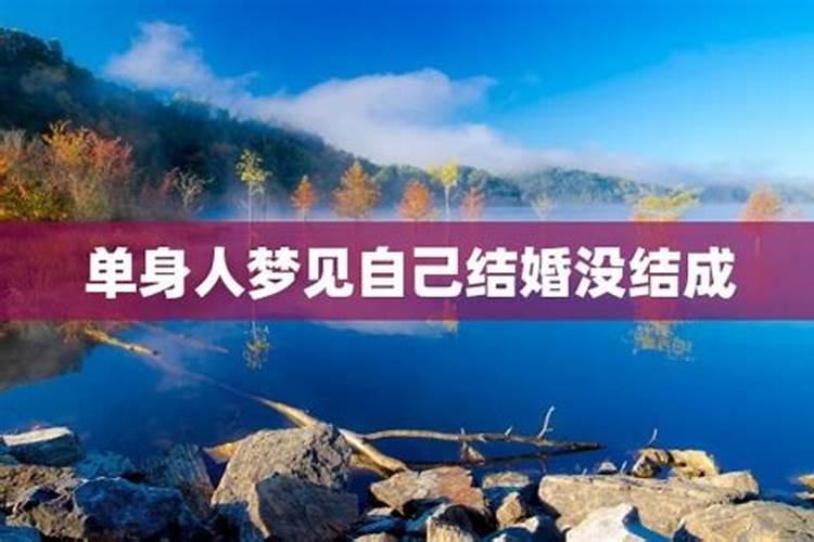 1943年属羊2023年运势 事业没有机会财运表现尚可