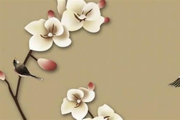 请懂的人士回答:看婚姻与平安福的钱一定要付清给算命的师傅吗？不付清会...