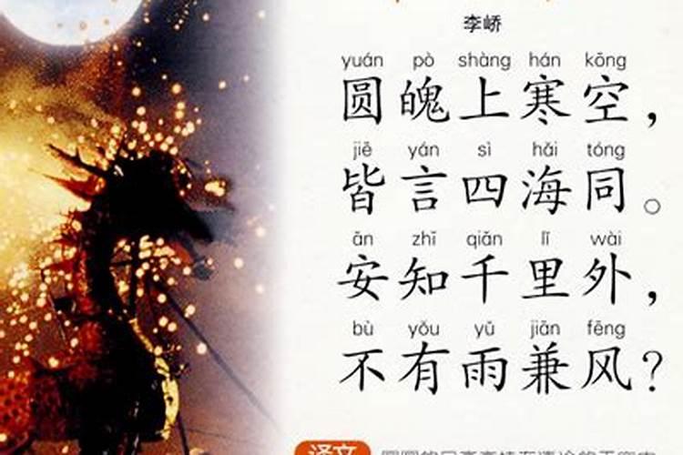 2025属兔人全年12个月运势如何