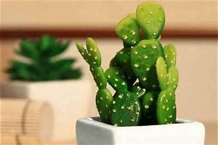 戌土是阴土还是阳土