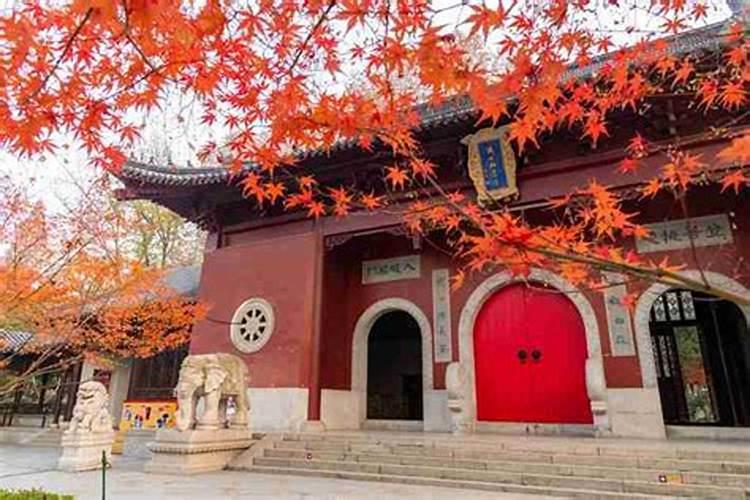 ...男的82年的狗凌晨两点出生,他们两个八字合吗？