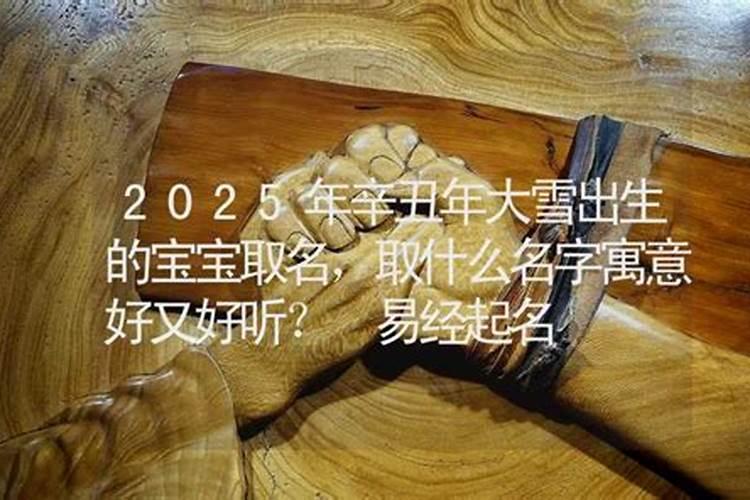 1987年属兔2025年的运势及运程如何