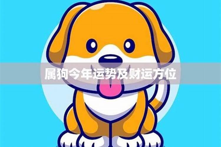 属狗人2025年全年运势运程免费 属狗2025年每月运势及运程详解