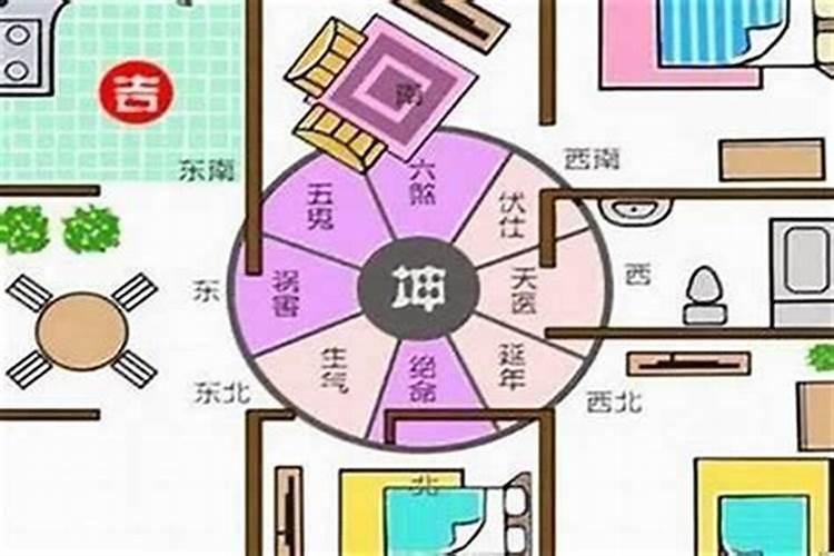 阴历1963年12月23日生人应该属什么？