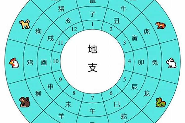 六甲日出生男女八字合婚表