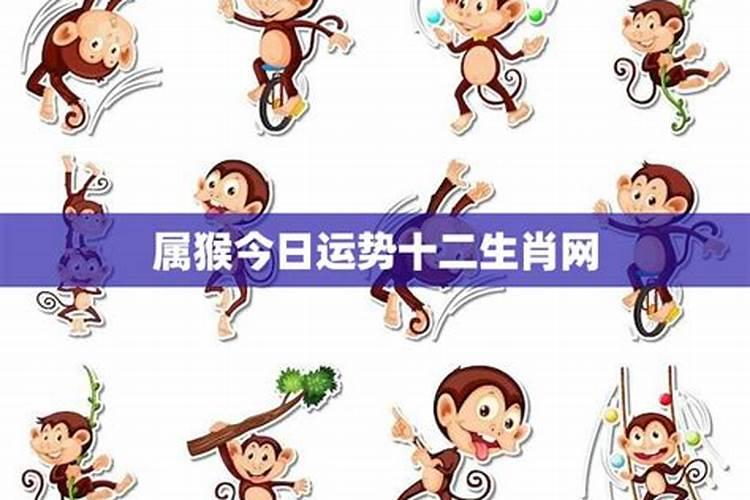 属牛男孩农历十月初一生好吗