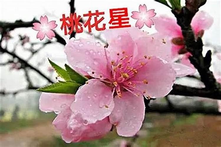 怎样为堕胎婴灵超度