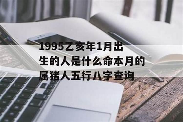 1995属猪几月出生好