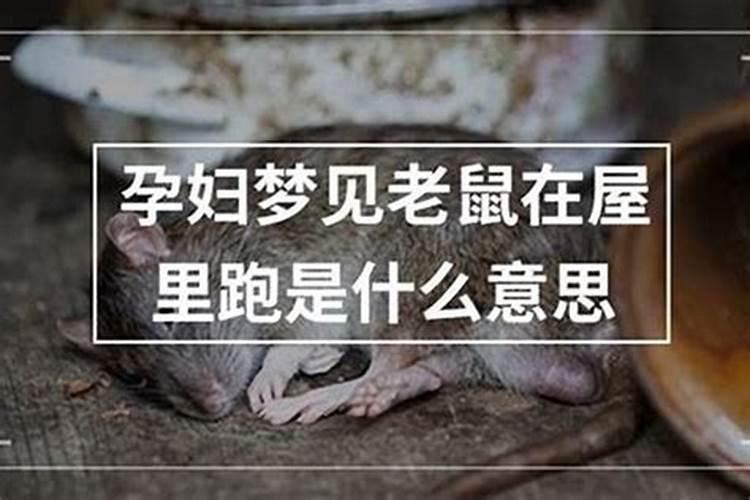 刑太岁破太岁怎么化解25年猴