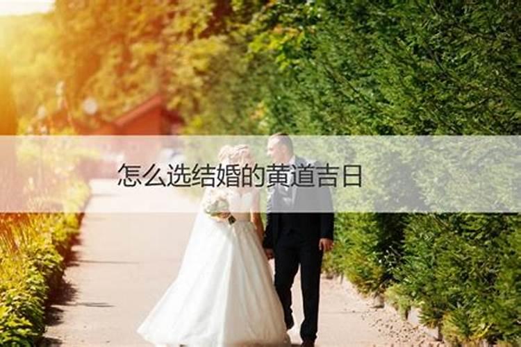 桑松木命适合开什么颜色的车？