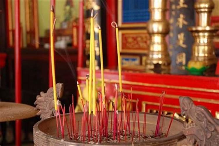 属马人的最佳婚配属相