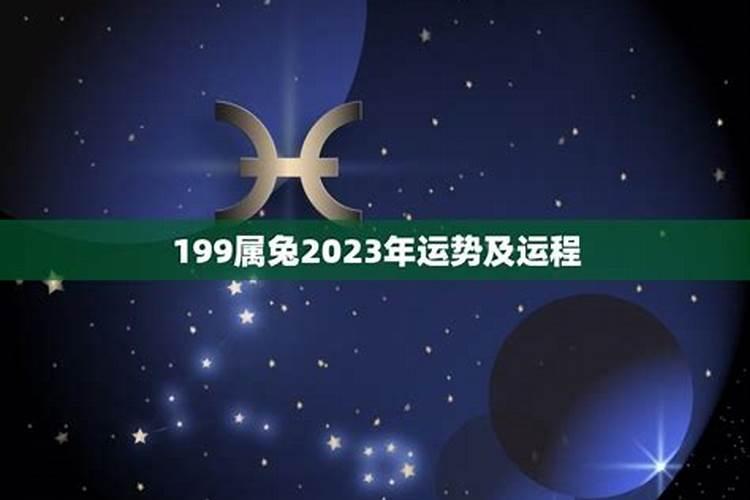 兔年是哪年199年,1999年属兔