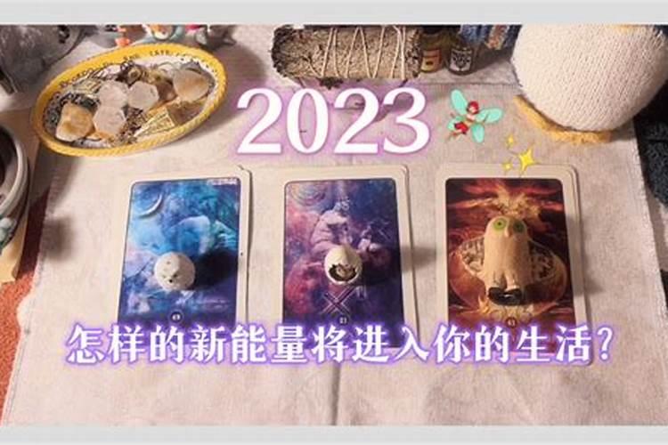 明年什么手相最旺运男生