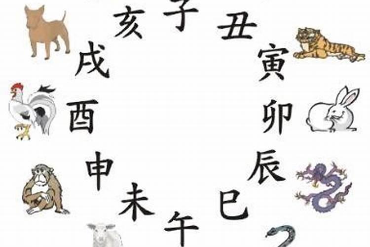 属虎本命年戴什么好