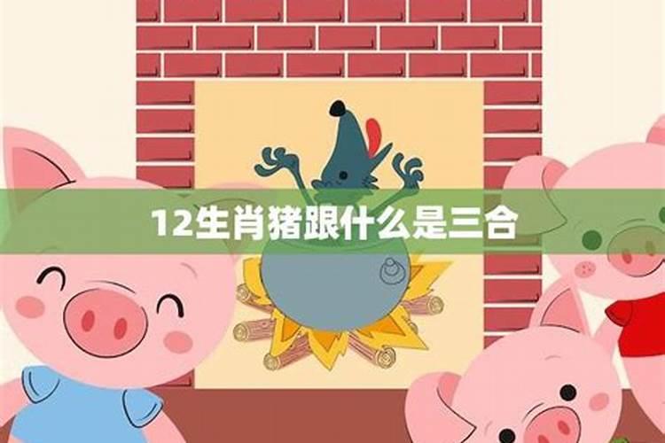八字三合局是什么意思 三合局化解八字冲克？