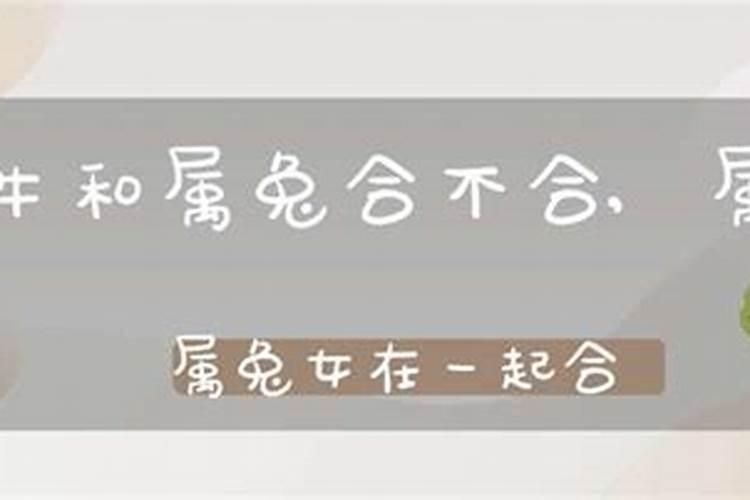 兔男和牛女在一起后果