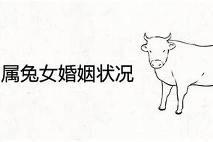属兔男人和属牛女人相配吗