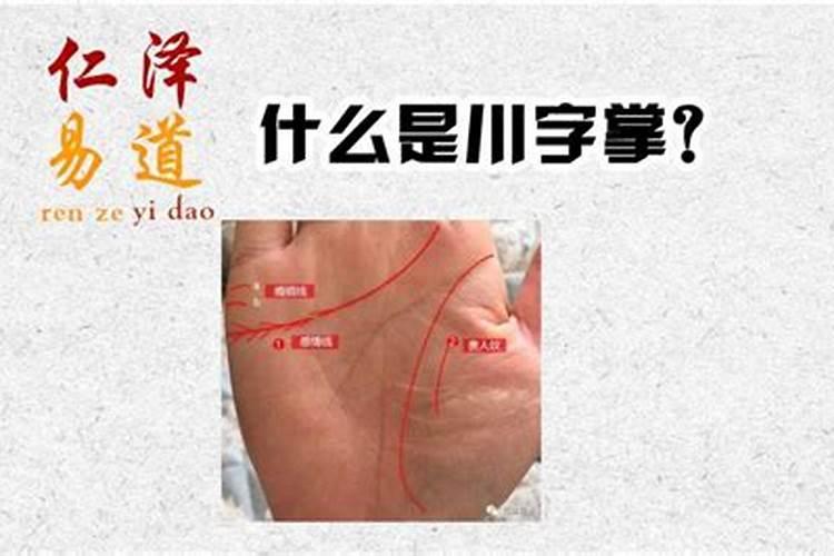 川字掌是一生轻松不用愁的手相吗