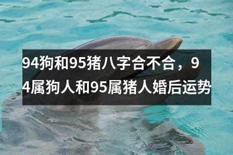 清明当天可以迁坟吗 清明可以迁坟墓吗