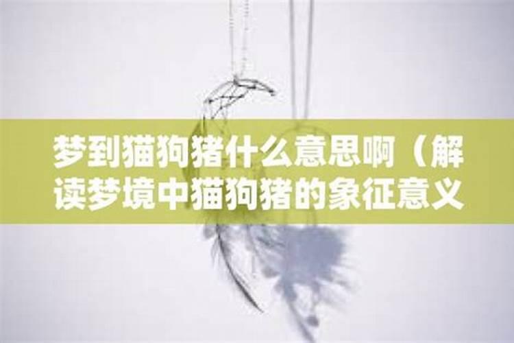 八字合婚:属兔的女人和属马男配吗 能白头到老吗