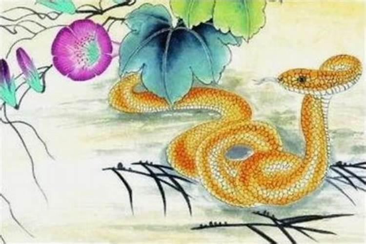 八字过硬或太弱怎么办？