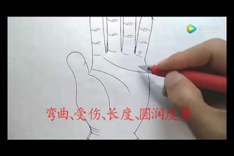 处女座最看不惯哪些星座