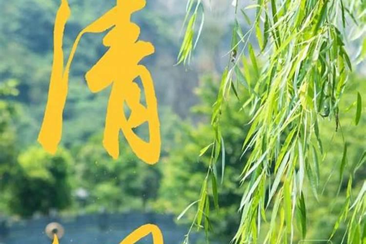 清明节当天扫墓有什么说法？清明节有什么禁忌？