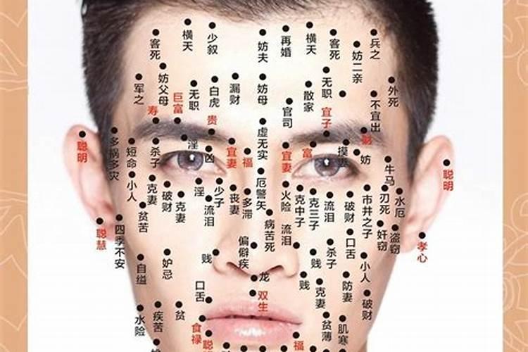 94年属狗做什么生意最旺
