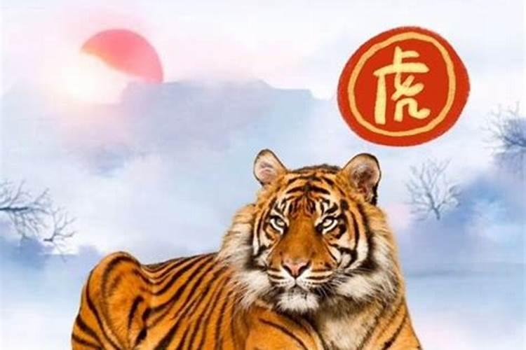 2025属虎人每月运势及运程如何