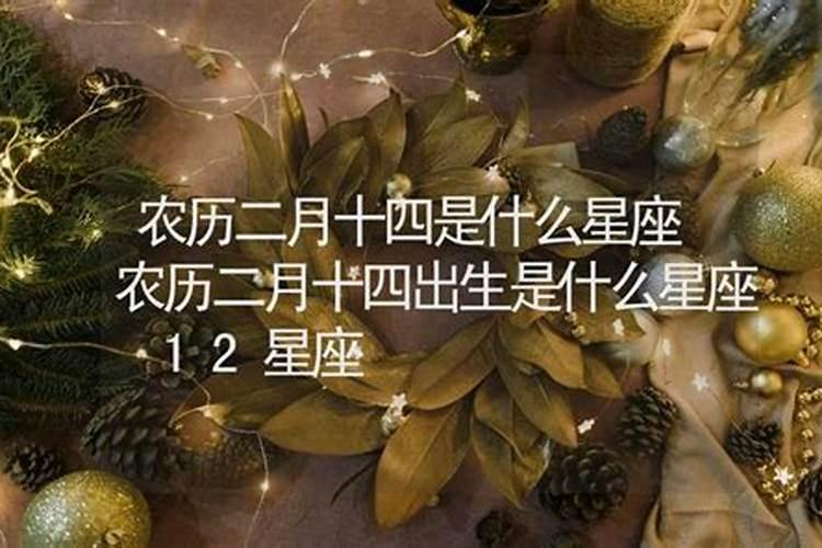 梦见家人娶媳妇