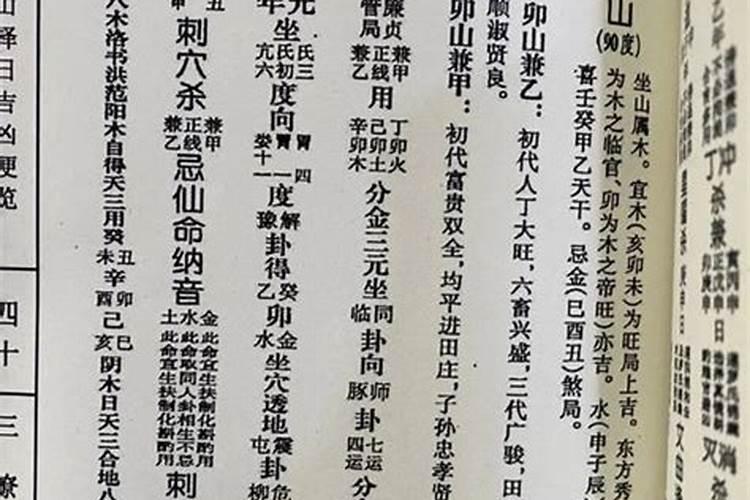 幻听的意思