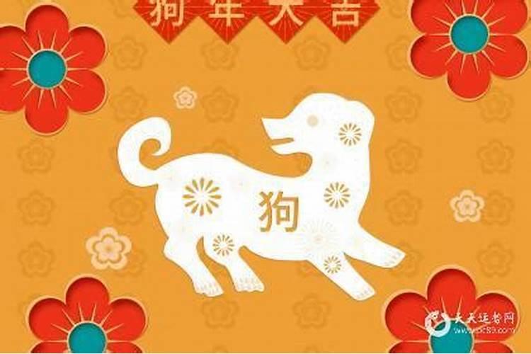 2018戊戌年狗年即将到来,犯太岁该如何化解？