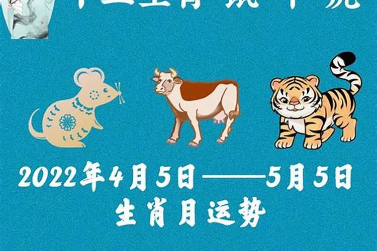 犯太岁佩戴什么首饰