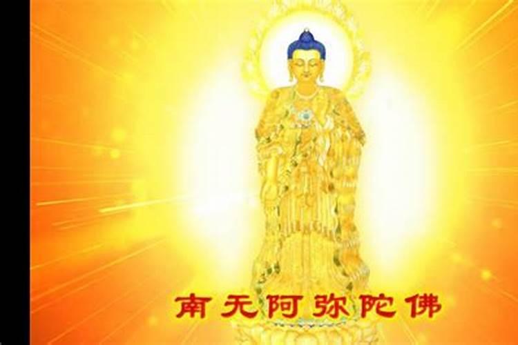 昨晚做梦,梦到自己开车撞死人了,可是我还不会开车,被判了11年,还梦到...