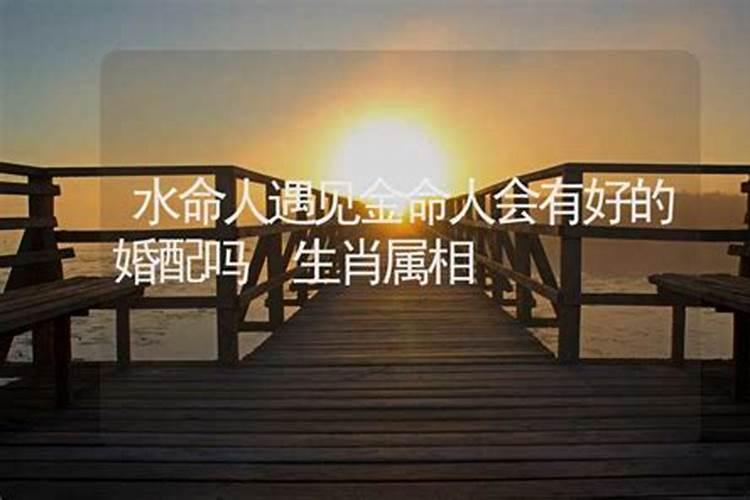 梦见很多邻居来家里串门的预兆