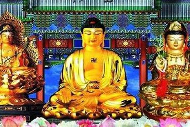 四十多天,今天做人流了,我杀生了,怎么补过