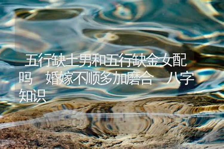 龙和什么属相最配最好