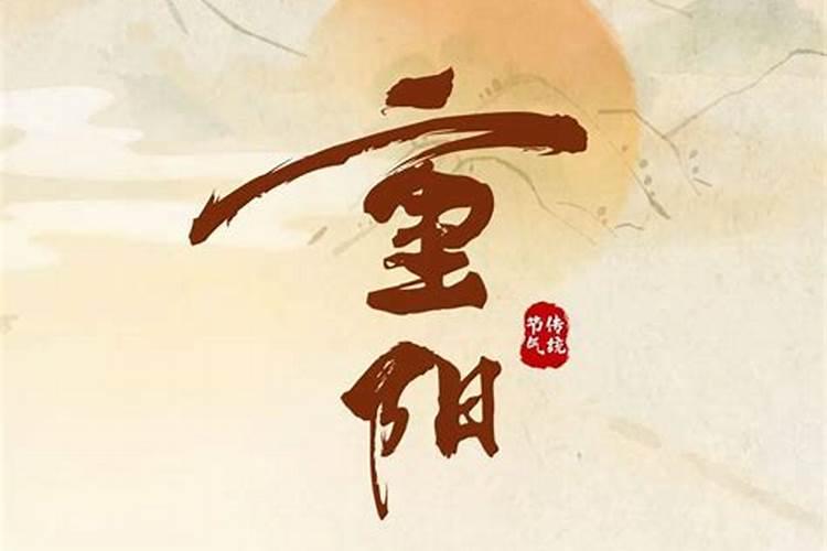 梦见大海龟是什么意思 周公解梦