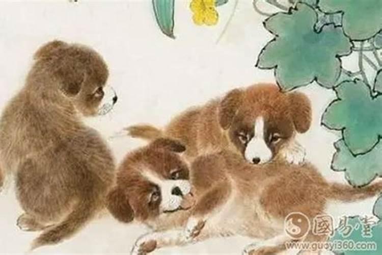 梦见双胞胎的预兆