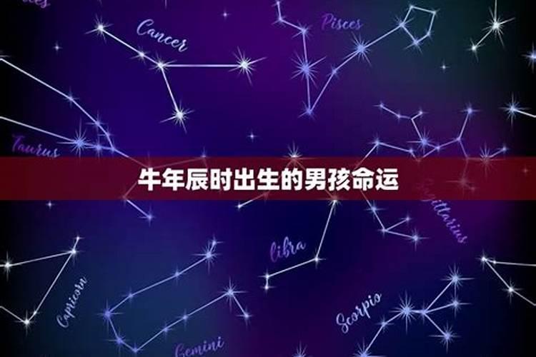 2024年属牛巳时出生命运好吗 今年出生的运势