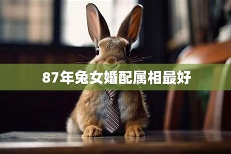 81年与87年男女婚配如何,81年属鸡女和87年属兔男夫妻好吗我们可以