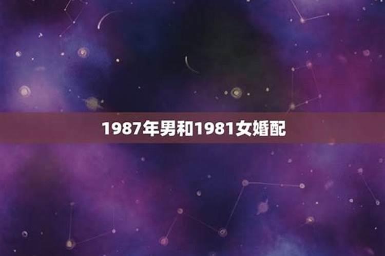 81年属鸡男和87年属兔女合不合婚？